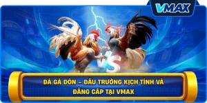 Đá gà đòn – Đấu trường kịch tính và đẳng cấp tại vmax
