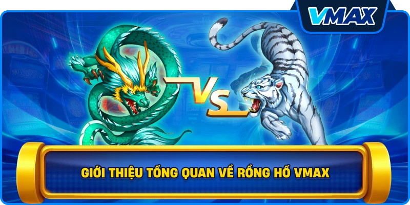 Giới thiệu tổng quan về Rồng hổ vmax